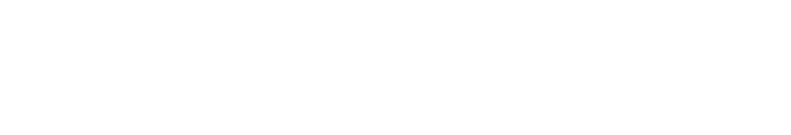 NEDOSTUPNOSTЬ